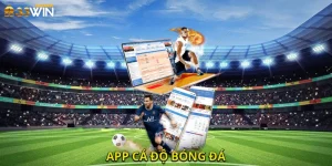 App Cá Độ Bóng Đá