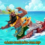 Cách Chơi Bầu Cua Bịp