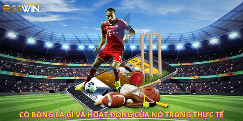 Cò bóng là gì và Hoạt động của nó trong thực tế