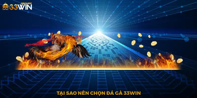 Tại sao nên chọn đá gà 33Win?